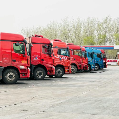 pexels-shuaizhi-tian-485596-20882743